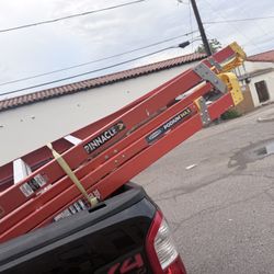 Platform Ladders 
