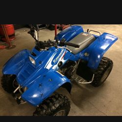 Kawasaki Quad 