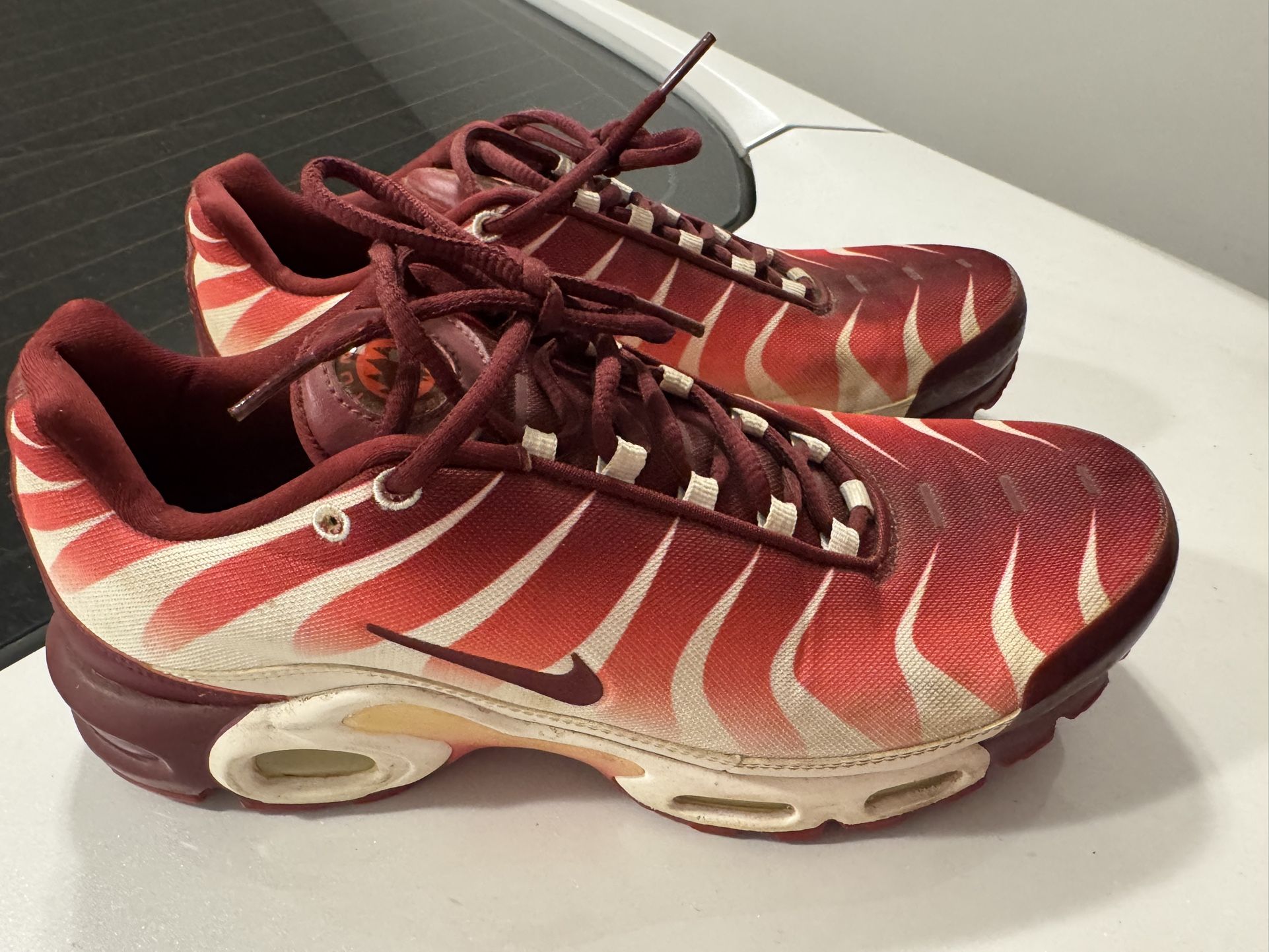 Nike Air Max Plus “After The Bite”