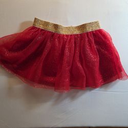 Tulle Skirt