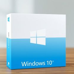 Microsoft Windows 10/11 Pro OEM License 