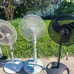 Fans lasko and holmes