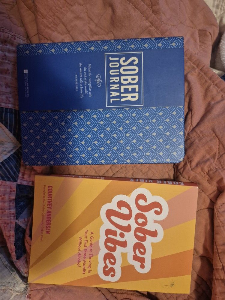 Sober Journal And Book
