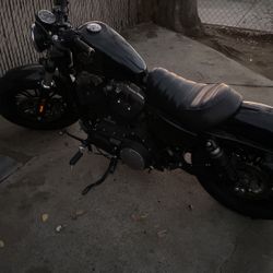 harley davison
