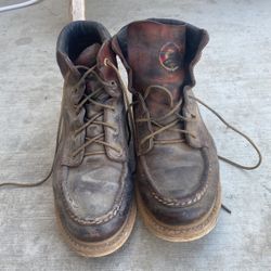 Irish Setter Ashby 10.5