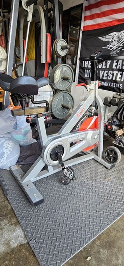 Sunny Exercise Bike