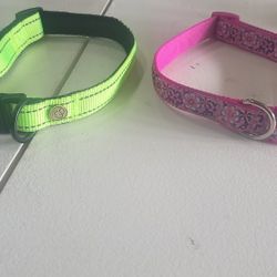 Large Dog Collars 