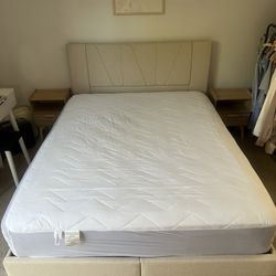 Mattress & Mattress Protector 