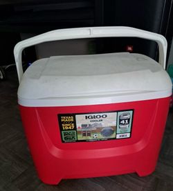 41 Cans gloo Cooler