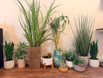 HomeGoods Decor