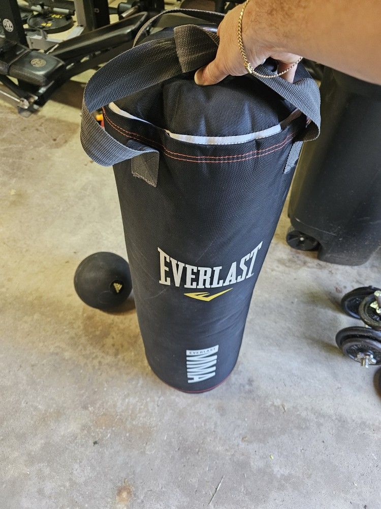 Everlast punching bag