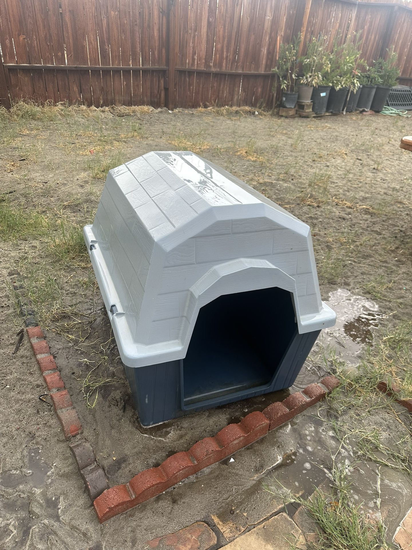 Dog House