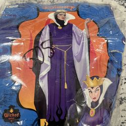 Disney Evil Queen COSTUME