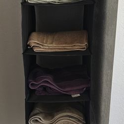 Hanging Closet Organizer