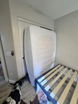 Bed With Frame/mattress/mattress Cover And Pad