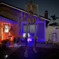 12ft Skeleton