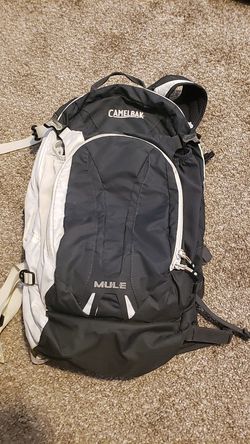Camelbak mule