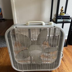 Fan