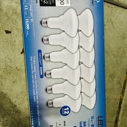 More Than 50 New Bulbs 