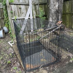 Dog Cage/Kennel