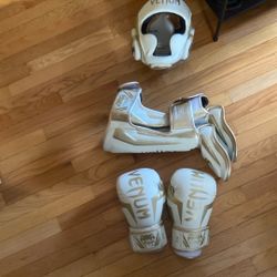 VENUM Kickboxing Gear