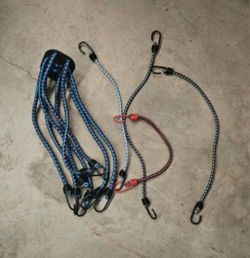 Spider bangee straps
