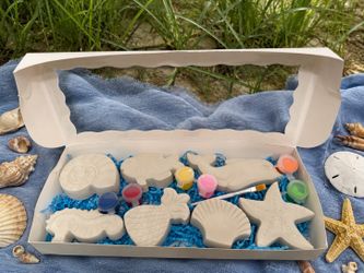 Beach painting box
