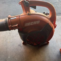 Echo Leaf Blower