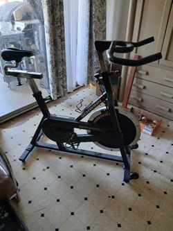 Schwinn spinner
