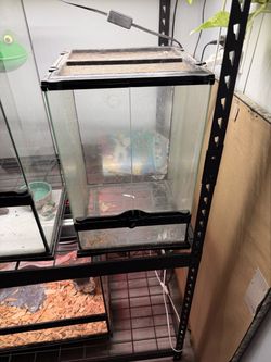 12x12x18 exo terra enclosure