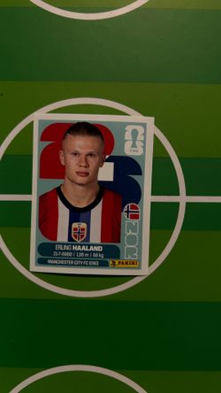 Erling Haaland regular border