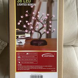 New Boxed Lighted Bonsai Great For Gift 
