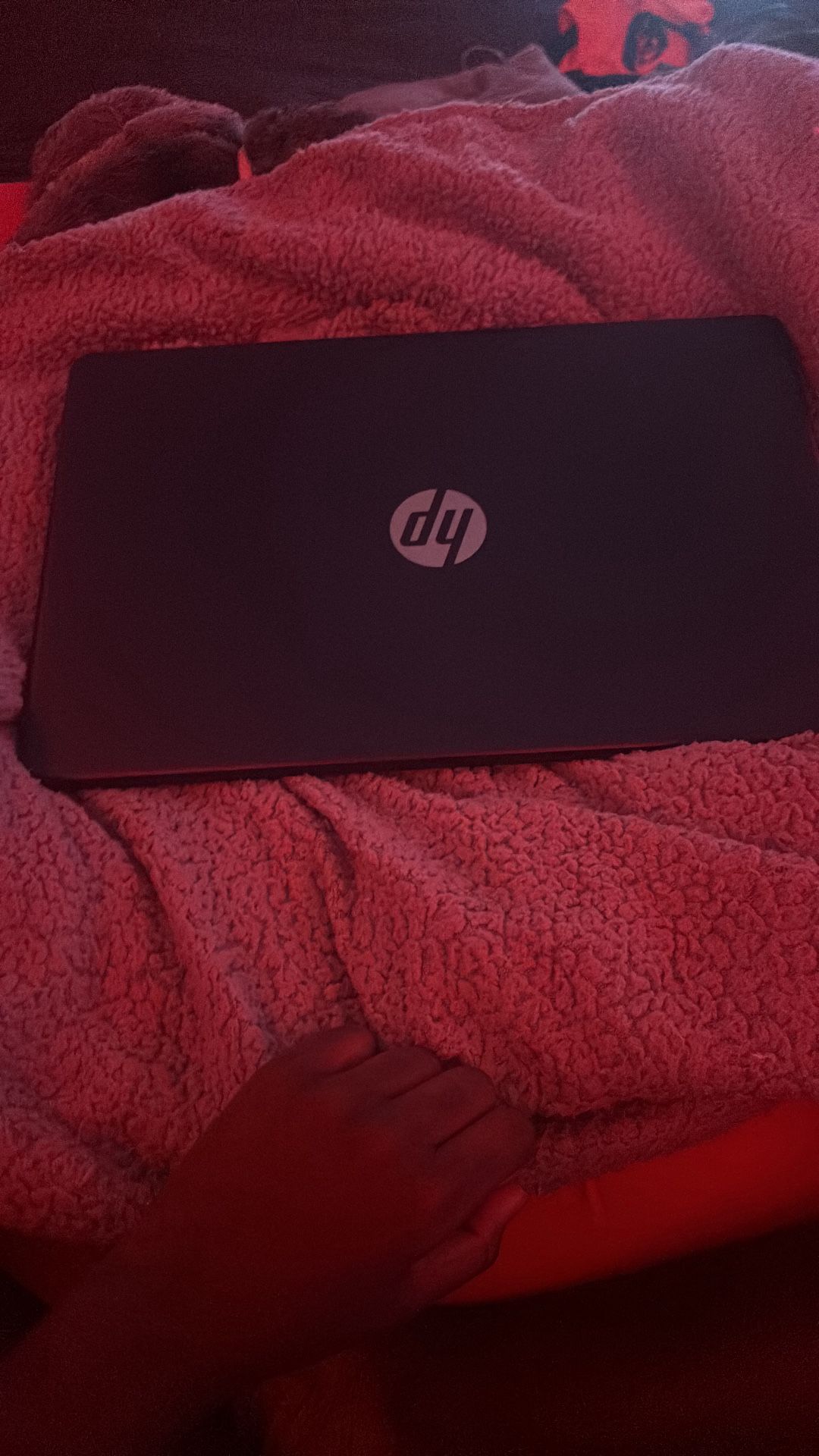 Hp Laptop 