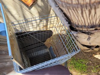Skunk Opossom Etc Catch And Release Trap