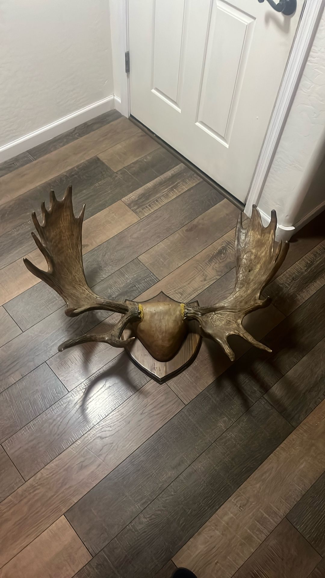Fake Moose Antlers On Wood Backing Faux Antlers