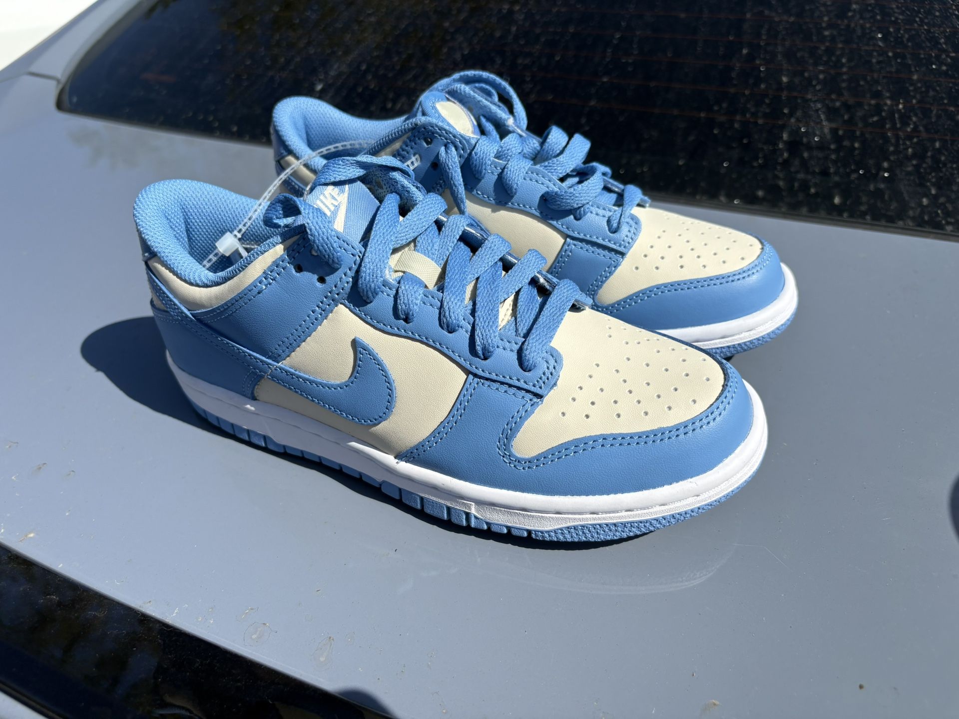 Nike Dunks 