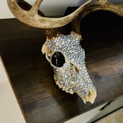 Deer Skull 