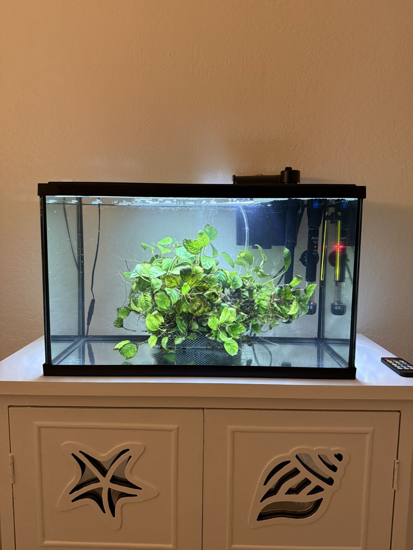 10 Gallon Fish Tank With Filter And Hooded Light