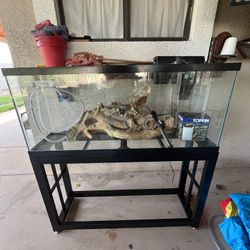 55 Gallon Tank Setup And Stand