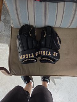 Christian 13" Leather Hockey Gloves