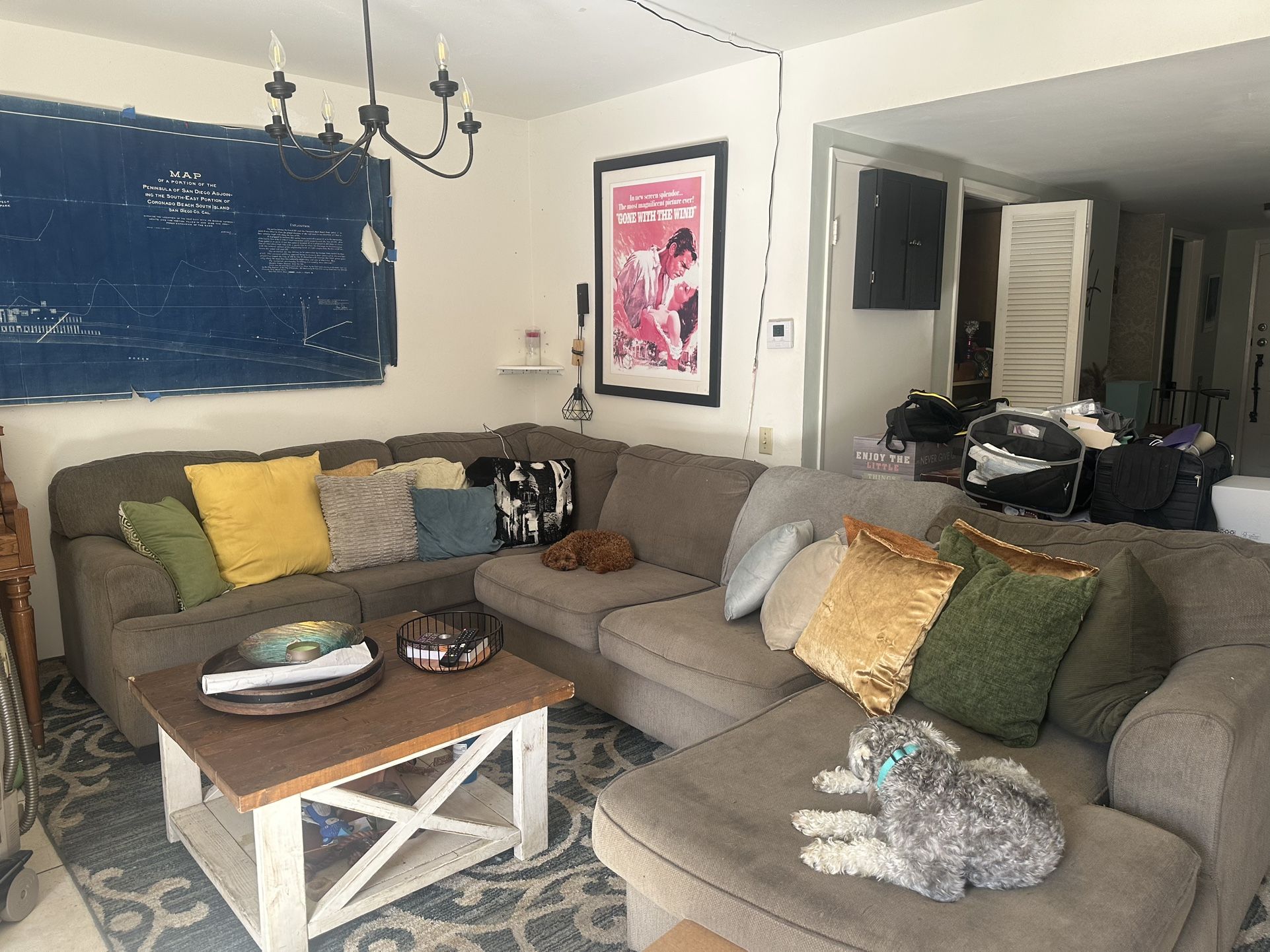 Free Couch And Desk!