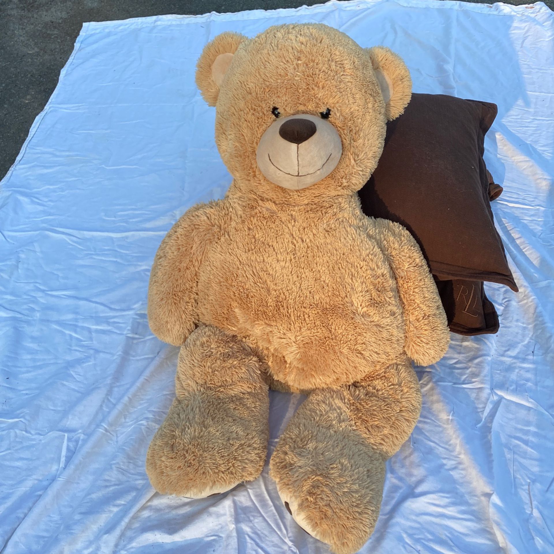 Giant Teddy Bear! 🧸