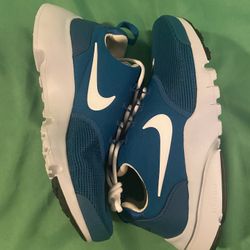 Nike Air Presto Fly Green Abyss