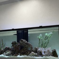 Empty Fish Tank With Accessories And Filtration System