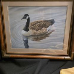 Original Paste Of Canadian Goose