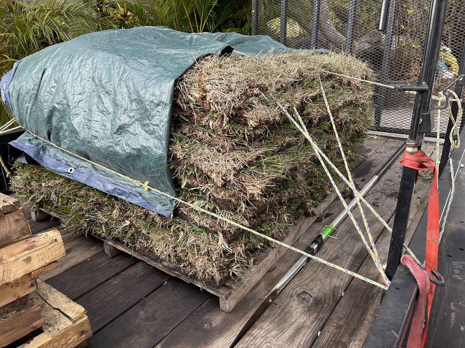 Sod For Sale