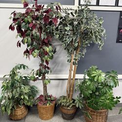 Faux (Fake) Plants Set