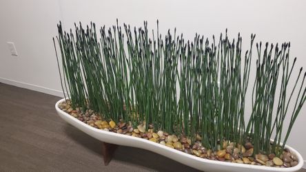 Planter