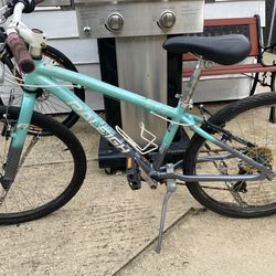 Raleigh Rapha Alysa Bicycle