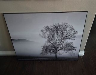 wall  decor
